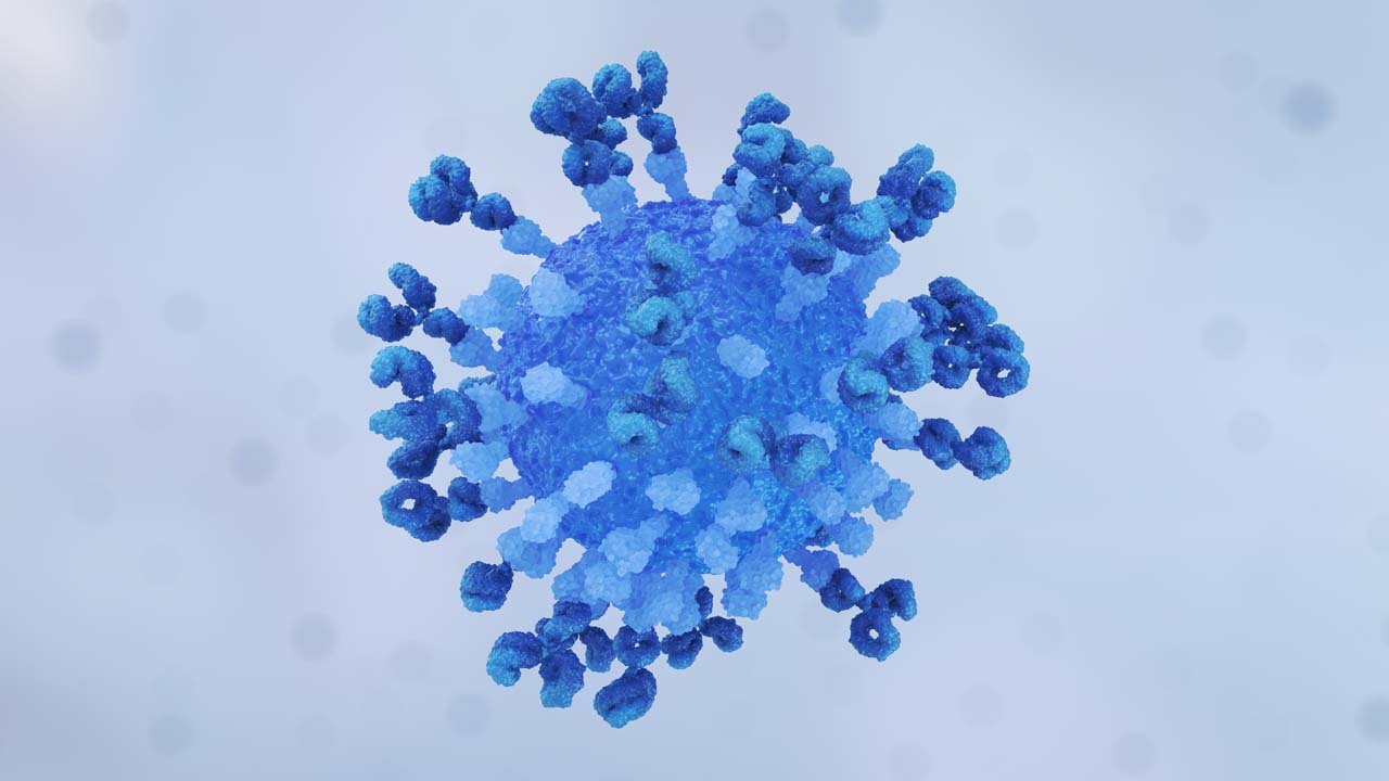 Virus Antibody Neutralisation Loop Still Grey Center