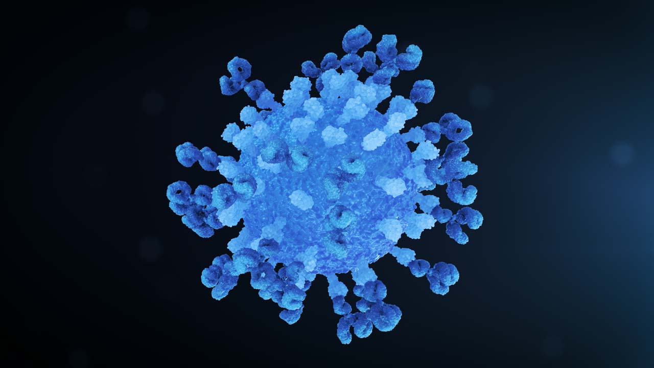 Virus Antibody Neutralisation Loop Still Navy Center