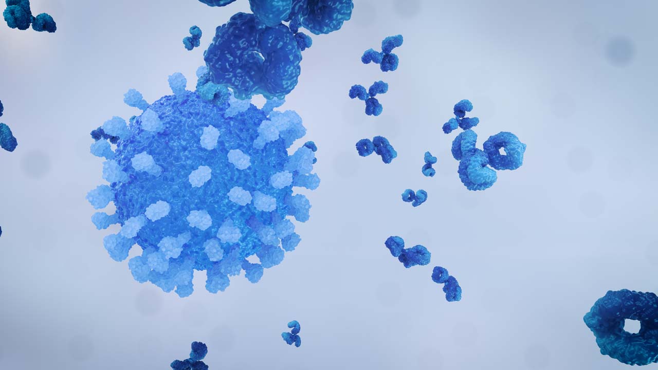 Virus Antibody Neutralisation Still Grey Left