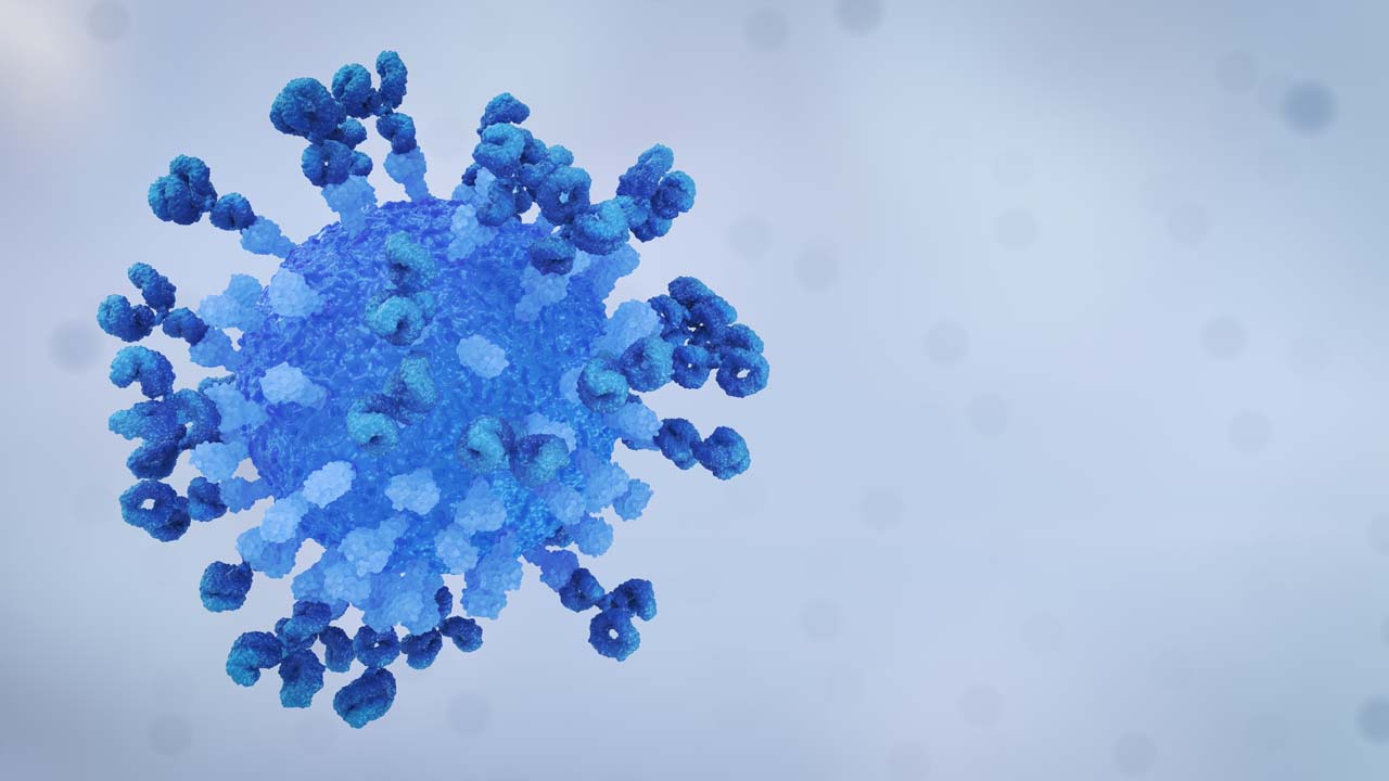 Virus Antibody Neutralisation Loop Still Grey Left