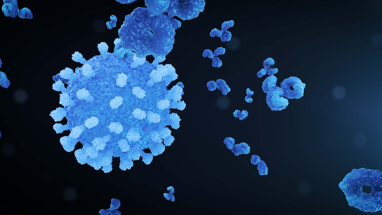 Virus Antibody Neutralisation Still Navy Left