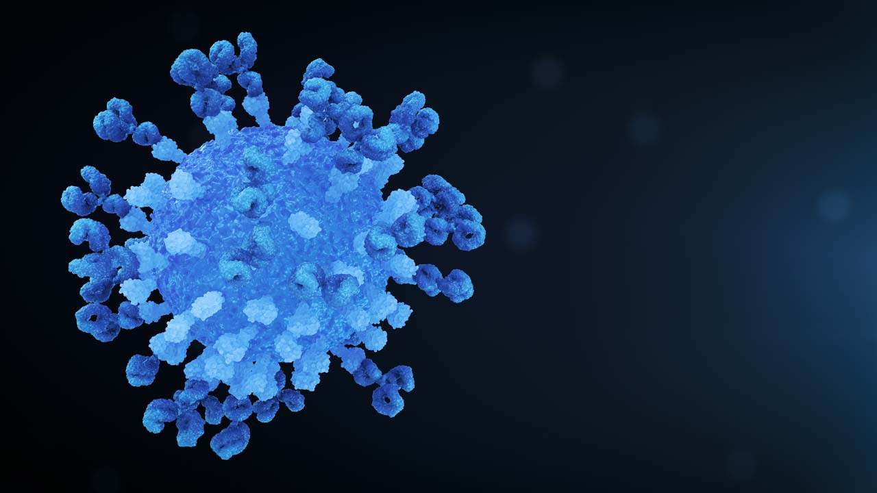 Virus Antibody Neutralisation Loop Still Navy Left
