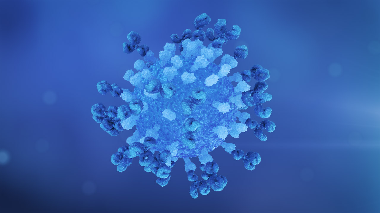 Virus Antibody Neutralisation Loop Blue Center