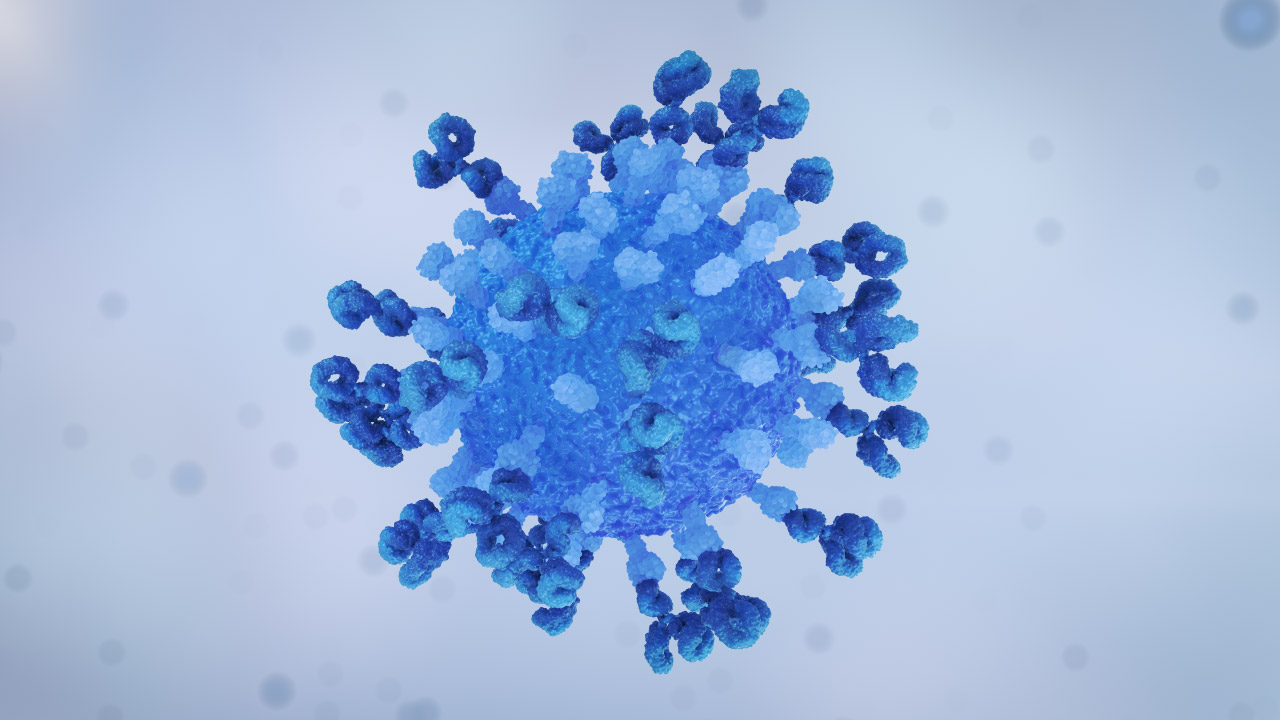 Virus Antibody Neutralisation Loop Grey Center