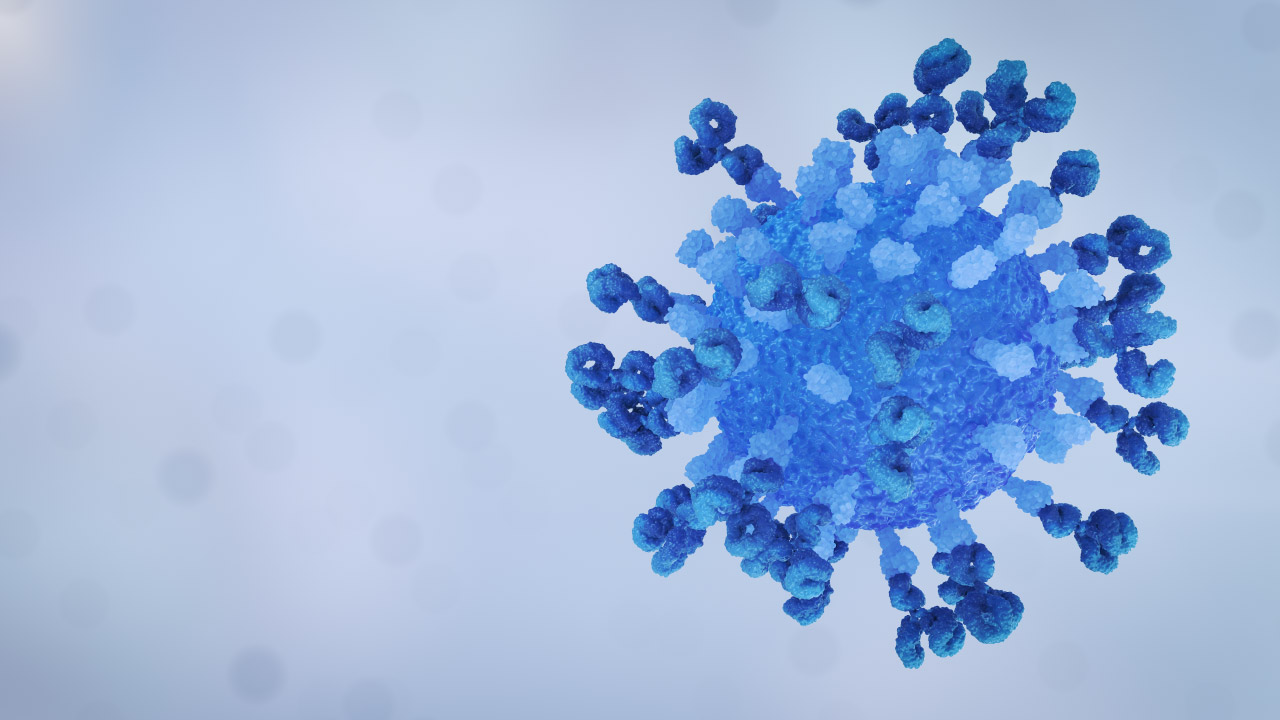Virus Antibody Neutralisation Loop Grey Right