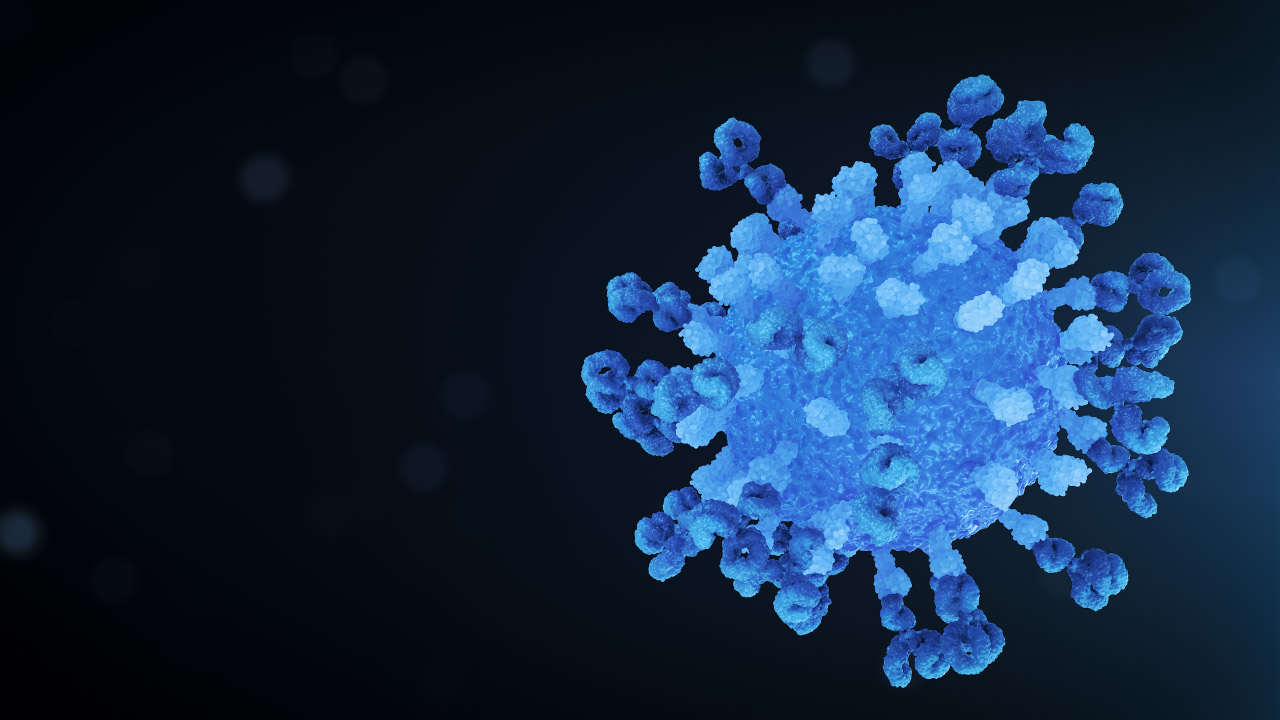 Virus Antibody Neutralisation Loop Navy Right