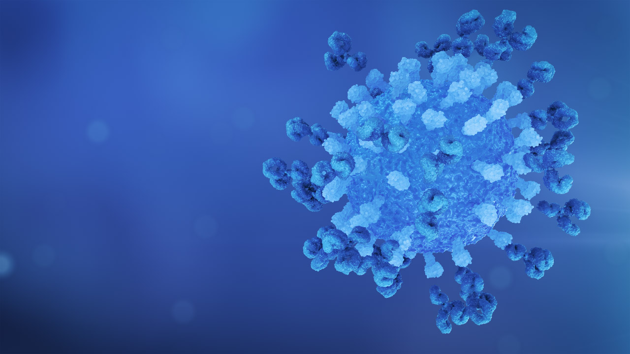Virus Antibody Neutralisation Blue Right