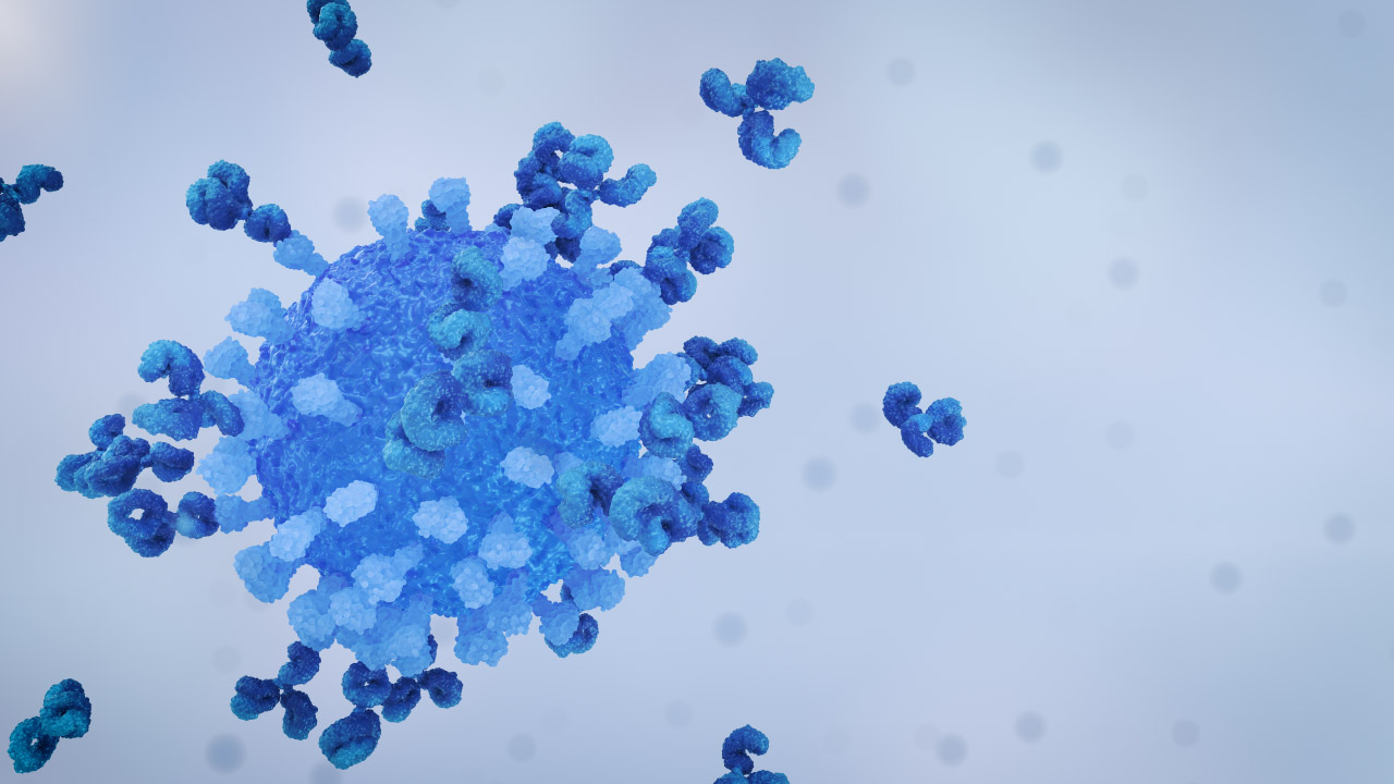 Virus Antibody Neutralisation Grey Left