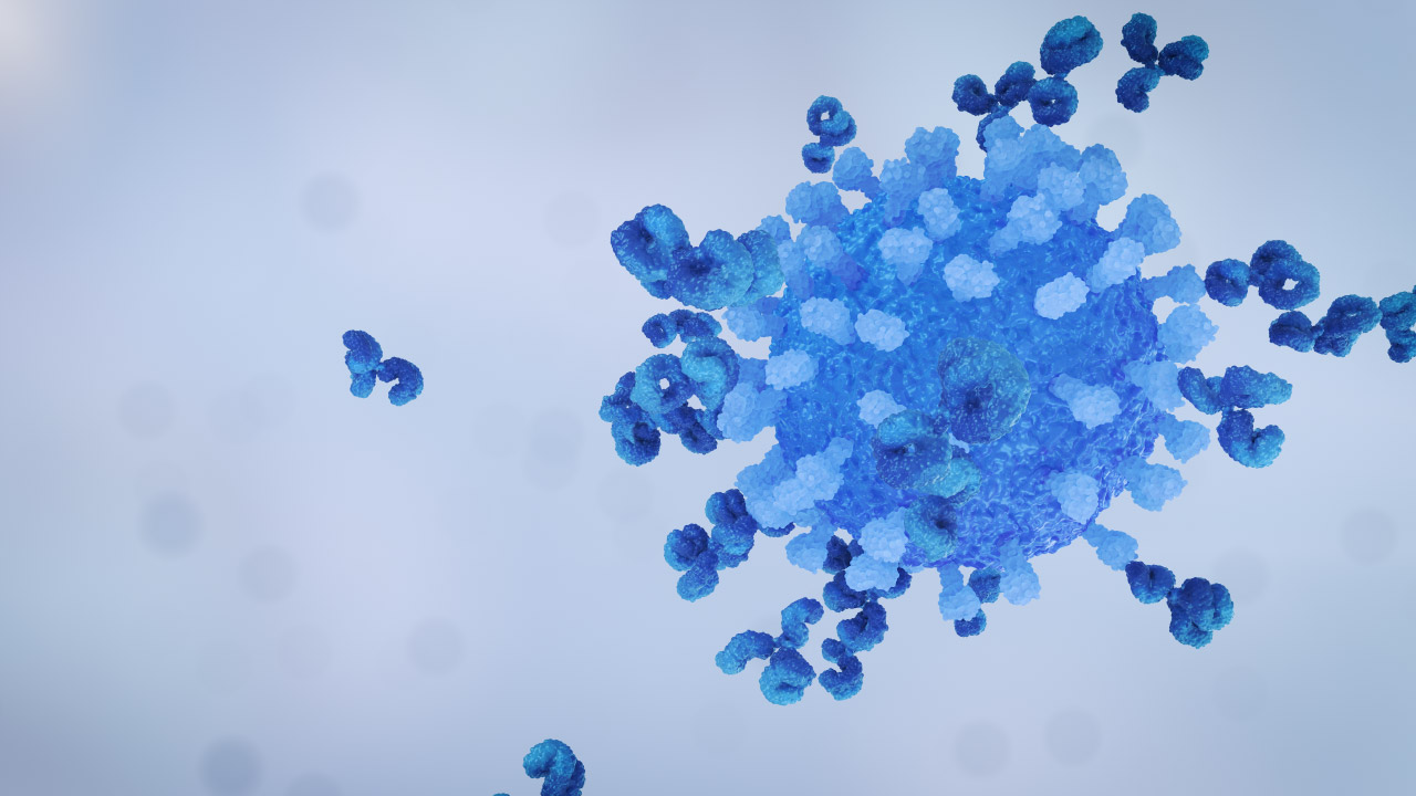 Virus Antibody Neutralisation Grey Right