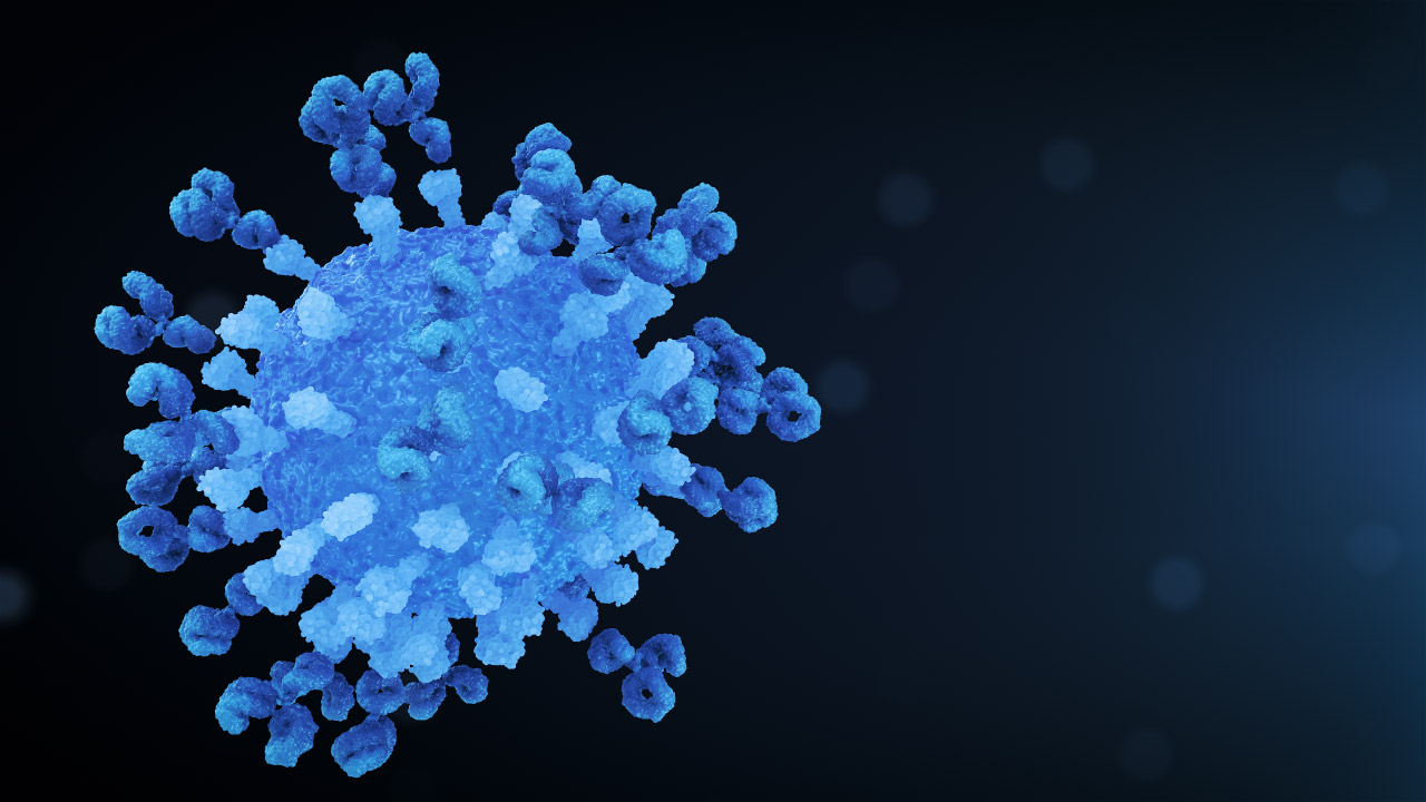 Virus Antibody Neutralisation Navy Left