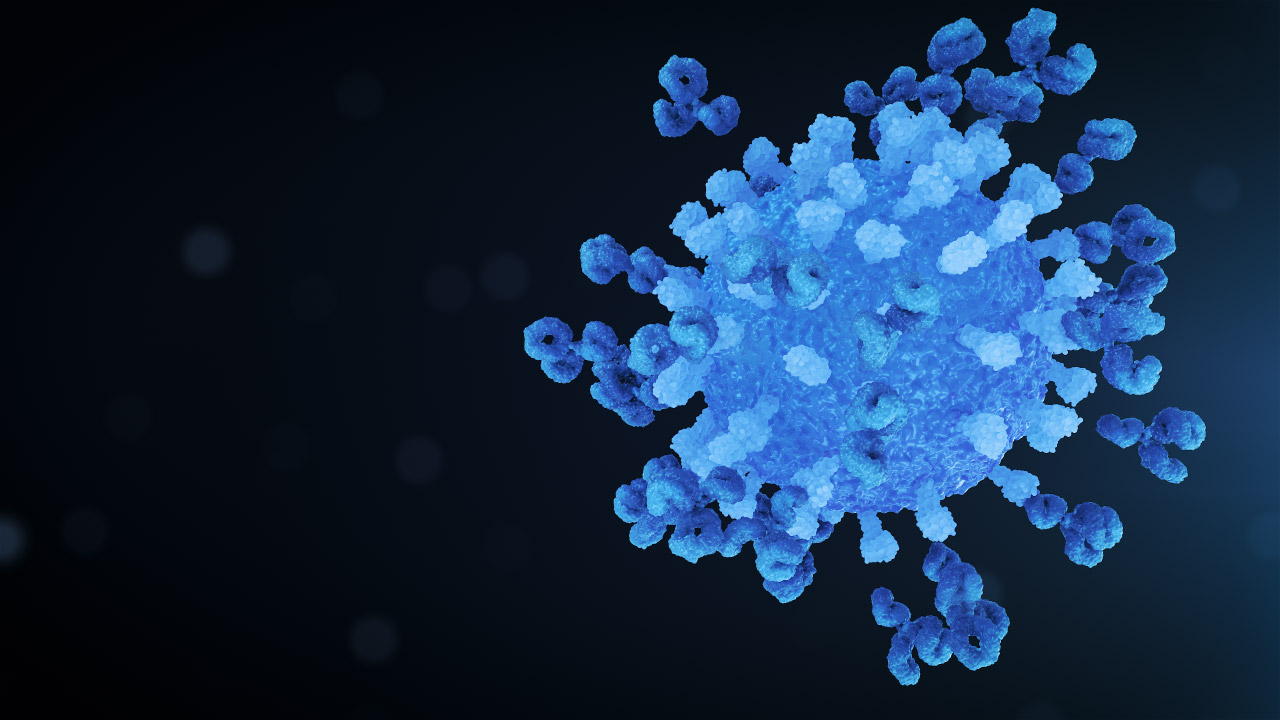 Virus Antibody Neutralisation Navy Right
