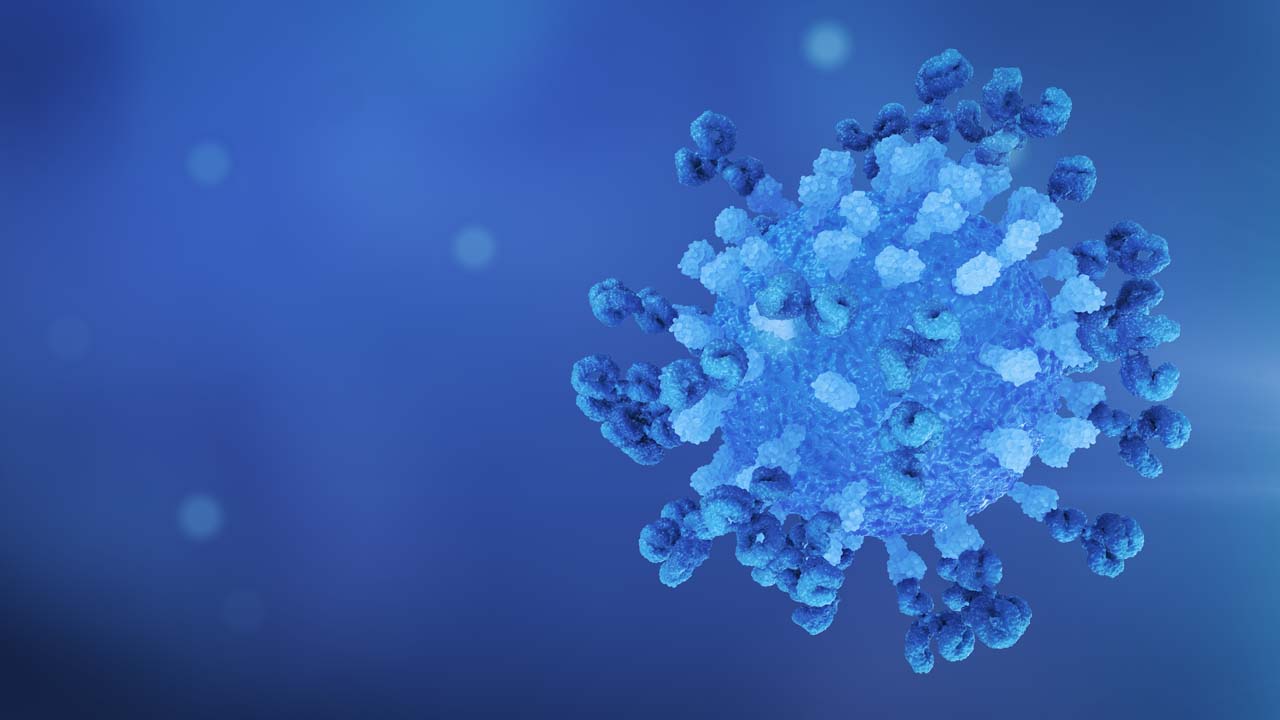 Virus Antibody Neutralisation Loop Still Blue Right