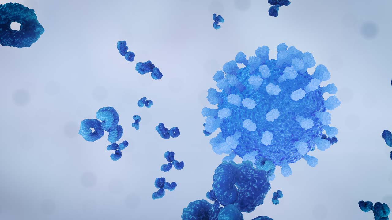 Virus Antibody Neutralisation Still Grey Right