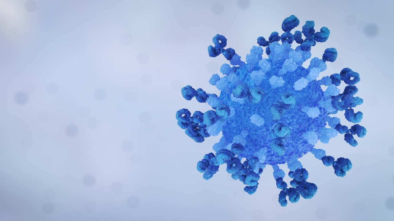 Virus Antibody Neutralisation Loop Still Grey Right