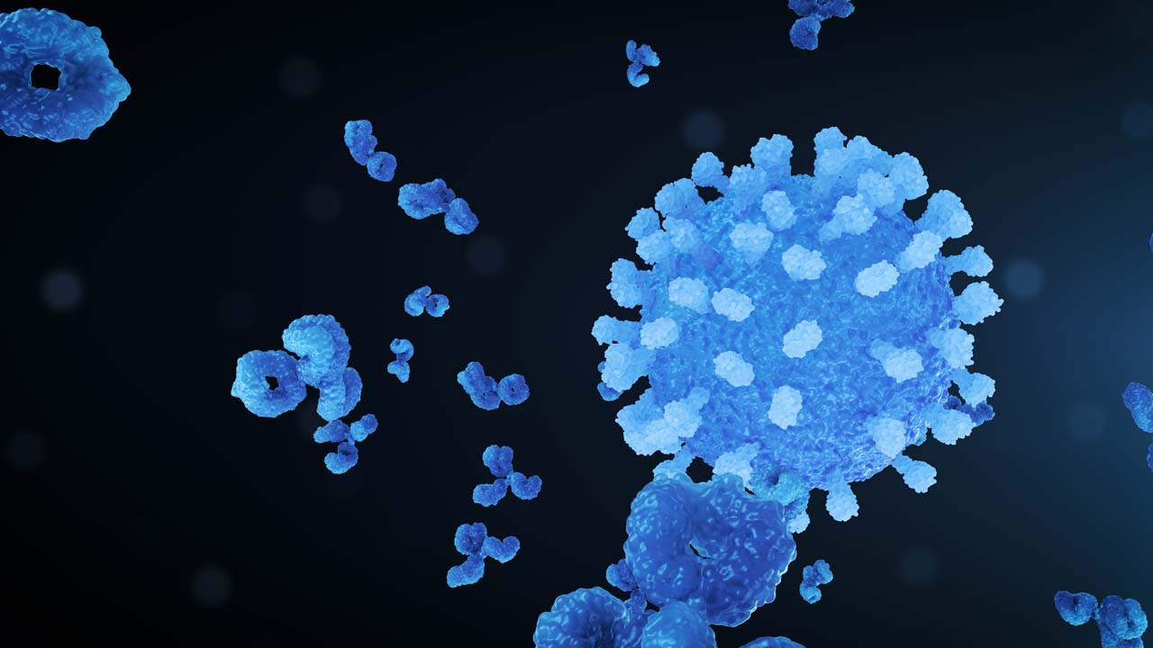 Virus Antibody Neutralisation Still Navy Right