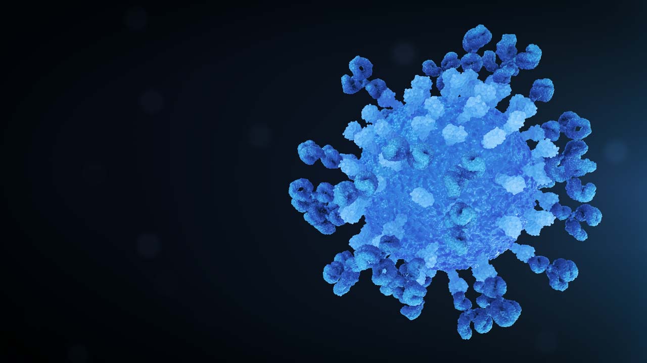 Virus Antibody Neutralisation Loop Still Navy Right