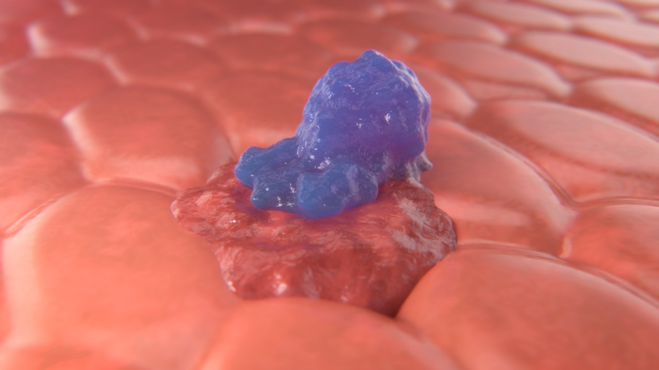 CAR-T Cell Complete Series Pack — Cell and Molecular Binding